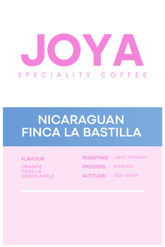 Nicaraguan Finca La Bastilla
